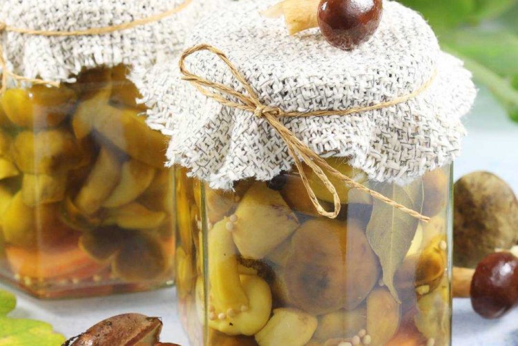 Boletus marinados con jengibre para el invierno