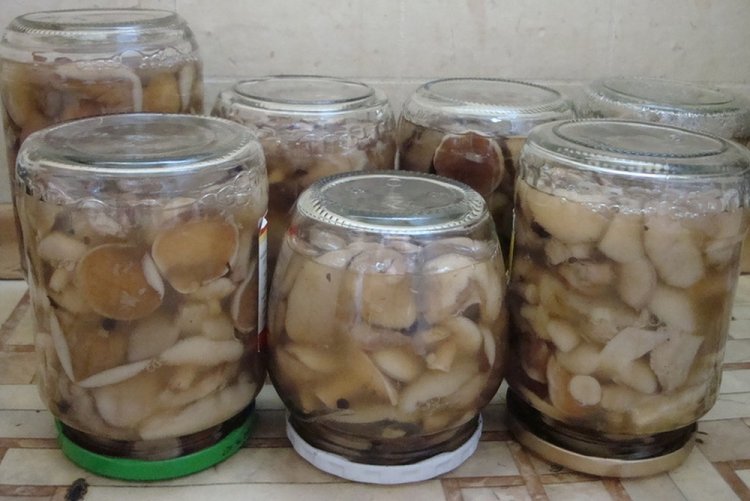 Boletus marinados con azúcar para el invierno