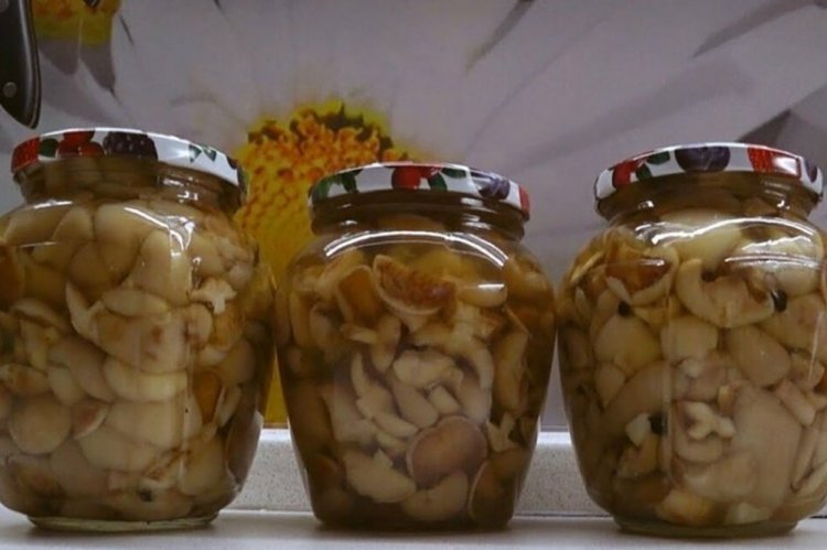 Boletus marinados con especias para el invierno