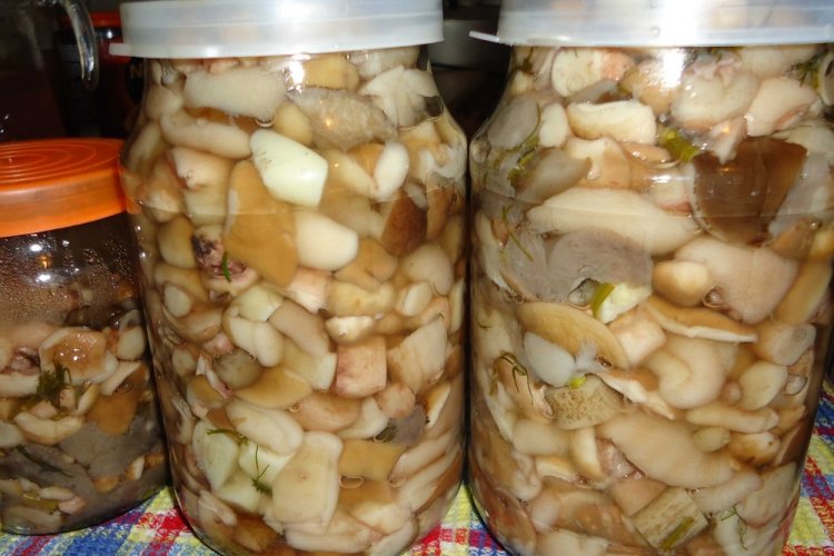 Boletus marinados sin vinagre para el invierno