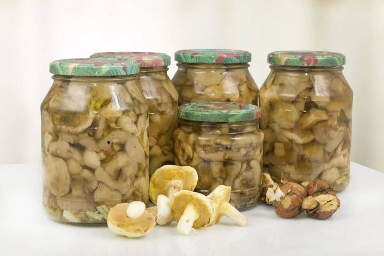 Boletus marinados sin esterilización