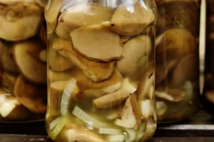 Boletus marinados con cebolla para el invierno