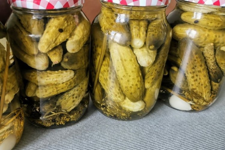 Pepinos al estilo húngaro con eneldo para el invierno