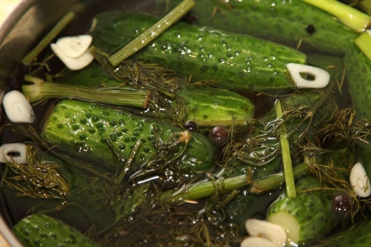 Gurkenlake mit Kräutern und Knoblauch