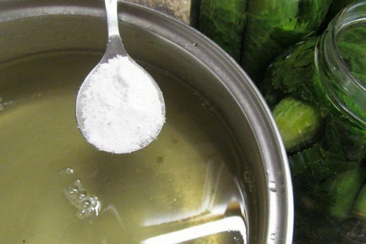 Gurkenlake mit Apfelessig