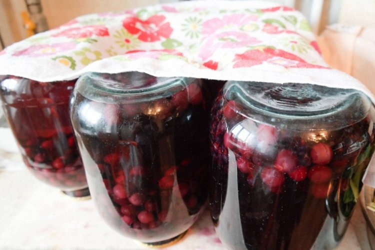 Watermelon and Cherry Compote for Winter