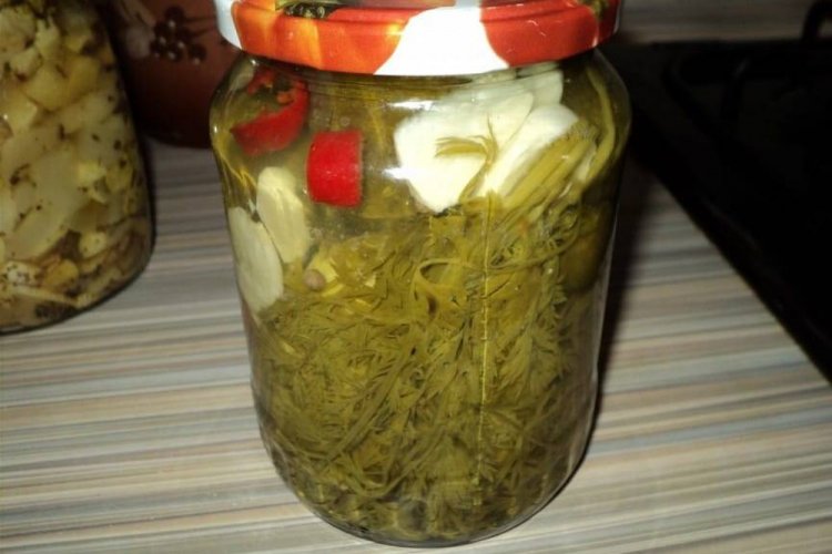 Gurken mit Karottengrün und Sterilisation