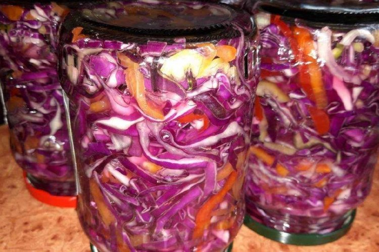 Ensalada de cazador con col lombarda para el invierno
