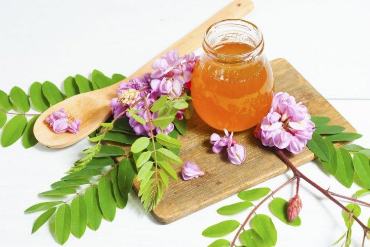 Marmelade aus lila Akazie für den Winter