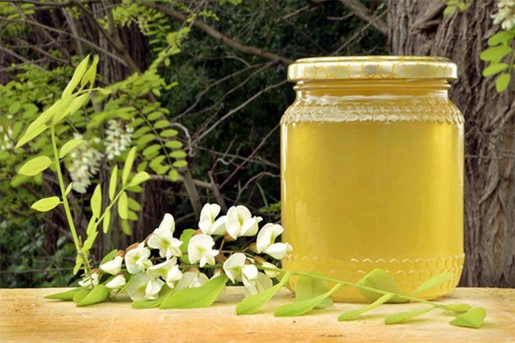 Akazienmarmelade mit Honig