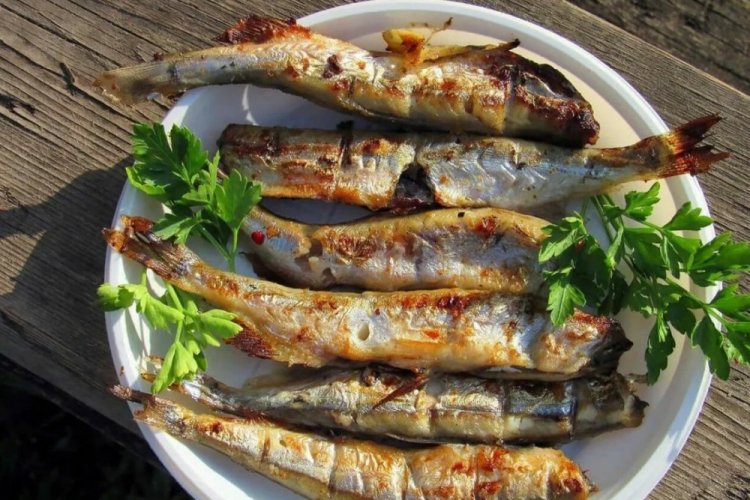 Lodde vom Grill