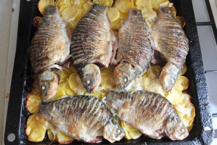 Carpas con mostaza, horneadas en el horno