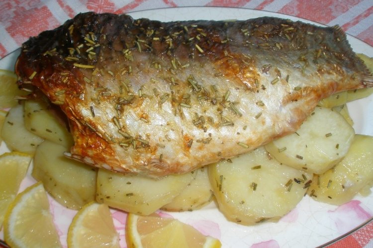 Carpa con patatas en el horno