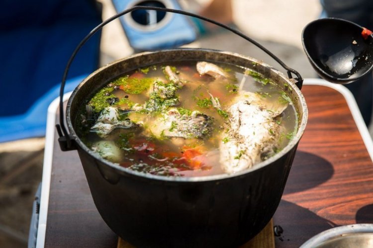 Karpfen-Fischsuppe in Pilzbrühe