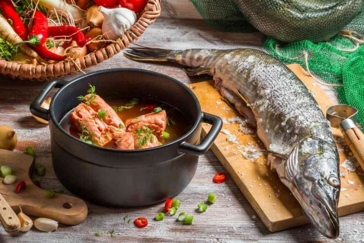 Pikante Hecht-Fischsuppe mit Tomatenmark