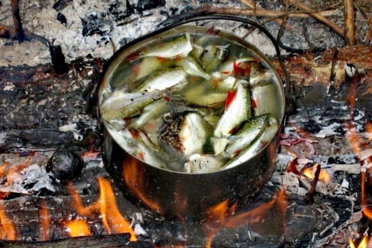 Dreifache Fischer-Fischsuppe ohne Gemüse am Lagerfeuer im Kessel