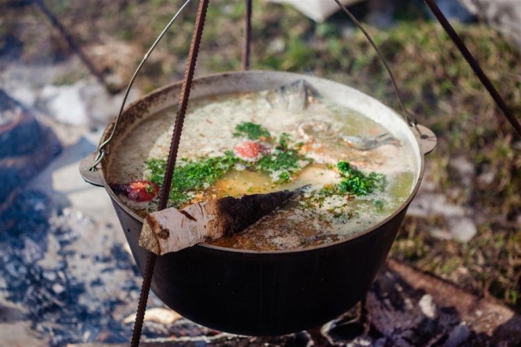 Silberkarpfen-Fischsuppe am Lagerfeuer