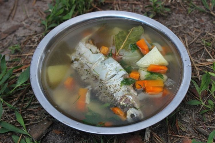 Plötzen-Fischsuppe in Hühnerbrühe im Kessel