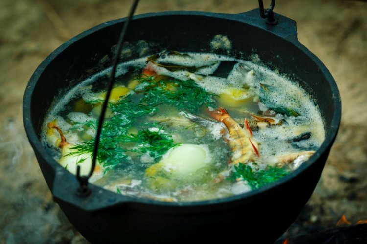 Barsch- und Sternhausen-Fischsuppe am Lagerfeuer im Kessel