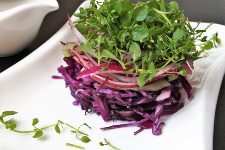 Rotkohlsalat für ein Picknick