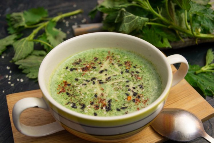 Creamy Nettle Soup
