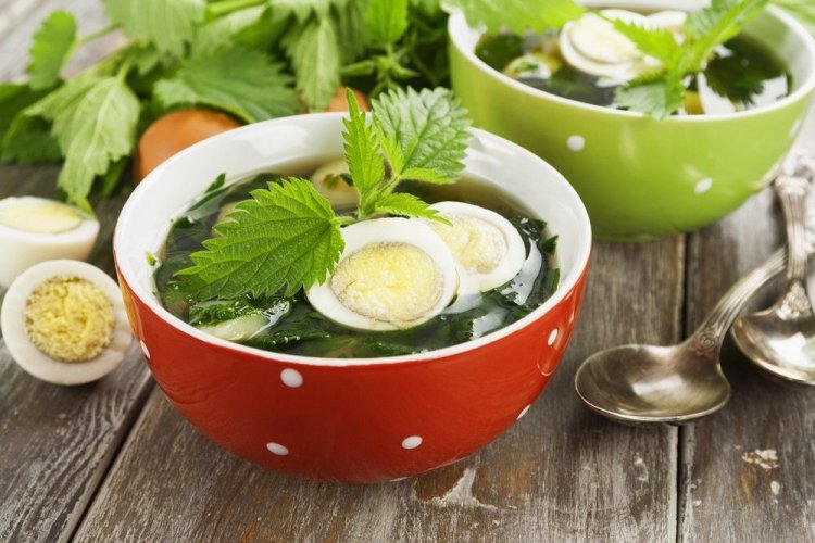Nettle Soup with Mushroom Broth