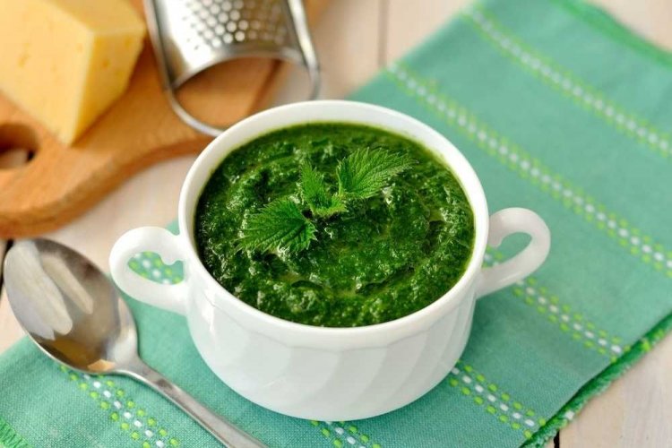 Diet Nettle Puree Soup