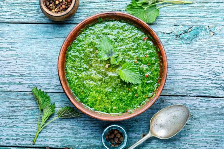 Spring Nettle and Young Cabbage Puree Soup