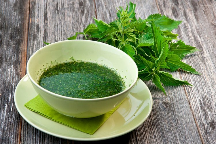 Cold Nettle Soup