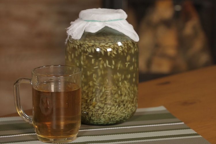 Barley Sourdough Starter for Kvass
