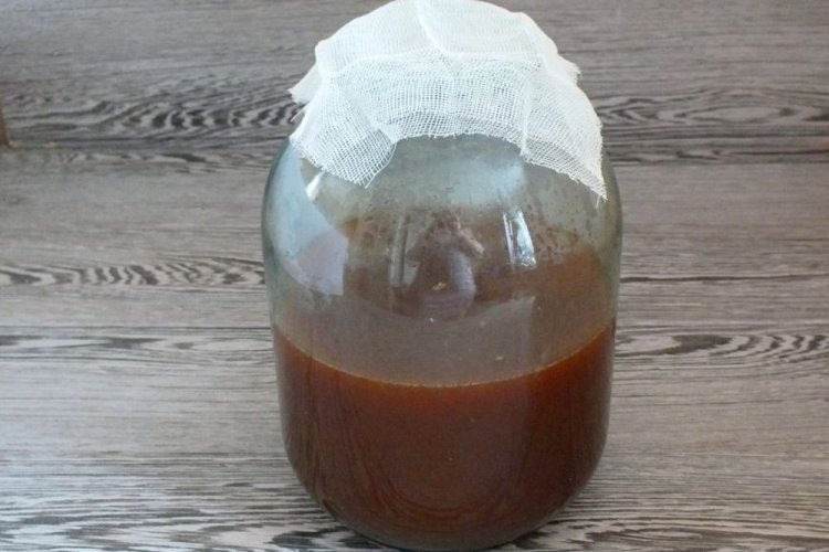 Grape Sourdough Starter with Rye Flour