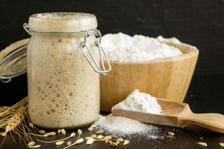 Rye Flour Sourdough Starter with Malt and Fresh Yeast