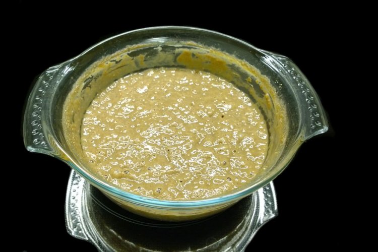 Hop Cone Sourdough Starter for Kvass