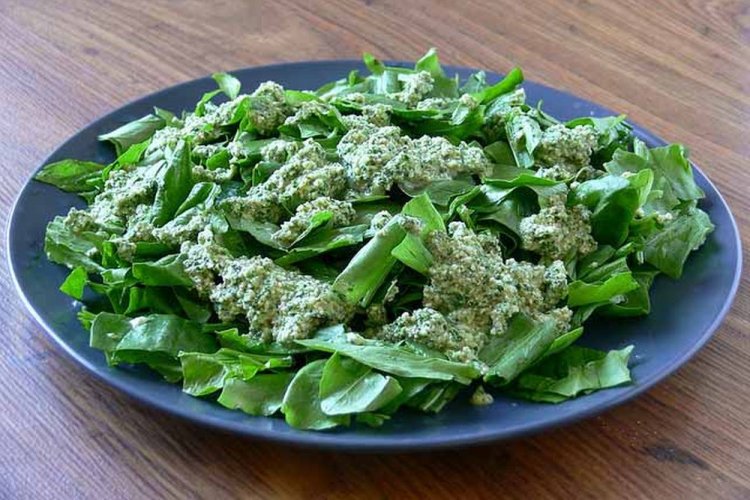 Sorrel Salad with Nut Sauce