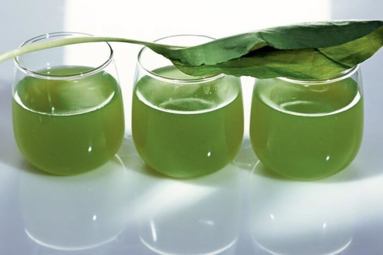 Sorrel Compote