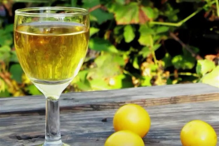 Licor de ciruela amarilla con vodka