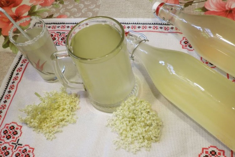 Elderflower Kvass