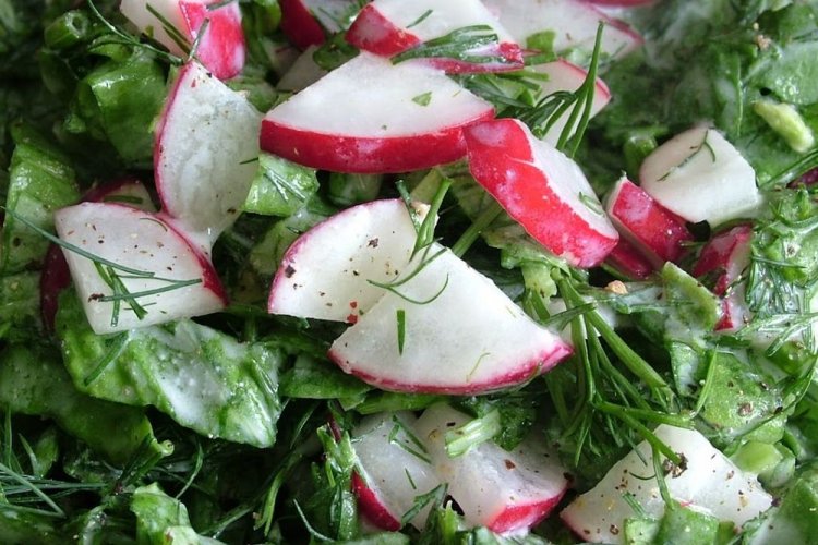 Salad with Cucumber, Radish, and Sorrel