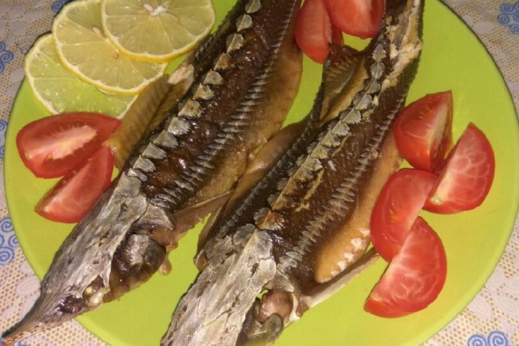 Esturión en bolsa para asar al horno