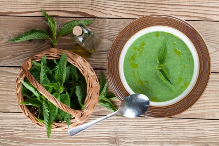 Cream of Nettle Soup with Rice