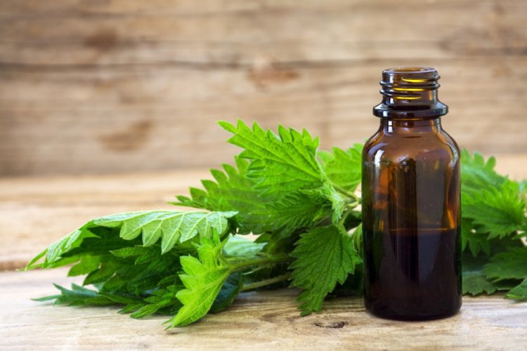 Nettle Syrup