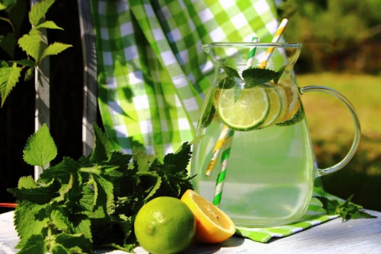 Nettle Lemonade