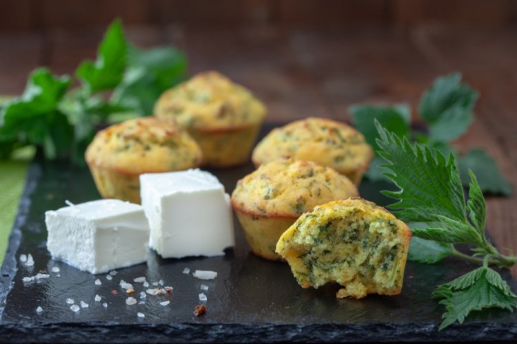 Nettle and Honey Muffins
