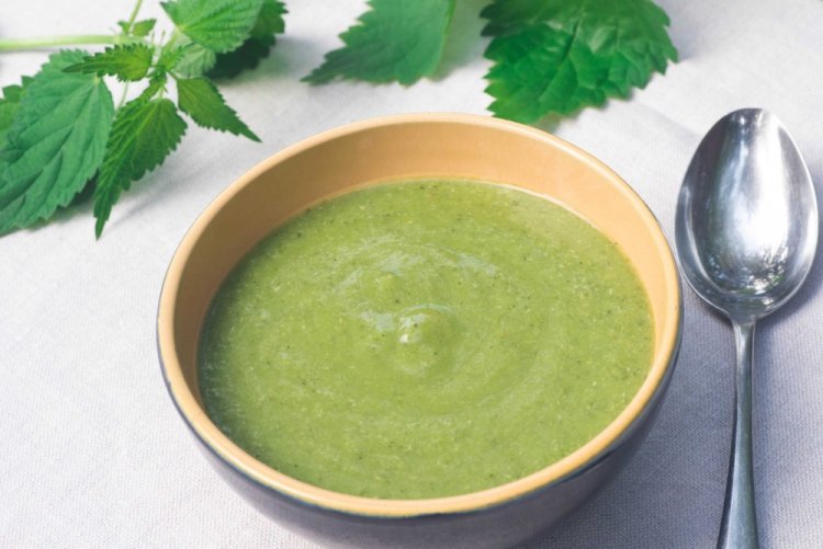 Cream of Nettle Soup