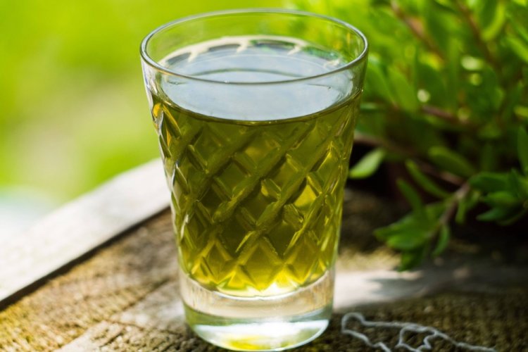 Nettle Tincture