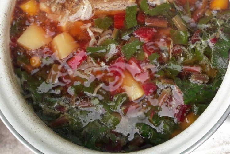 Shchi (Cabbage Soup) with Cabbage and Beet Greens