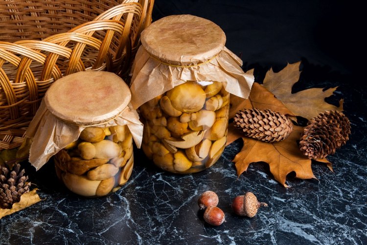 15 Great Recipes for Cooking Suillus Mushrooms
