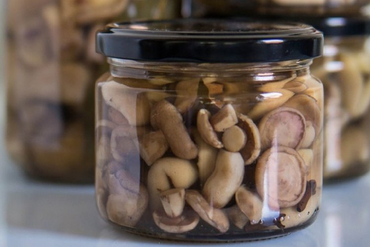 Pickled Suillus Mushrooms for Winter