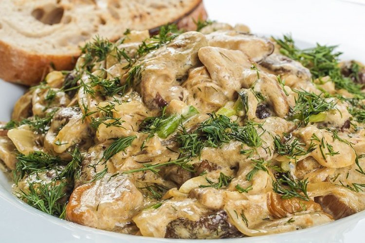 Suillus Mushrooms in Sour Cream