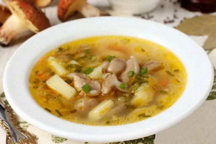 Suillus Mushroom Soup